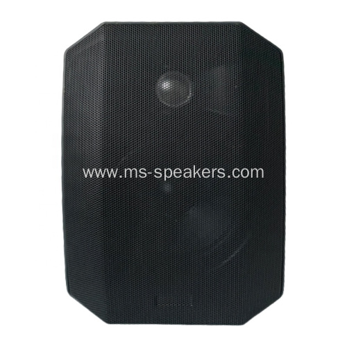 100W wall hanging speaker